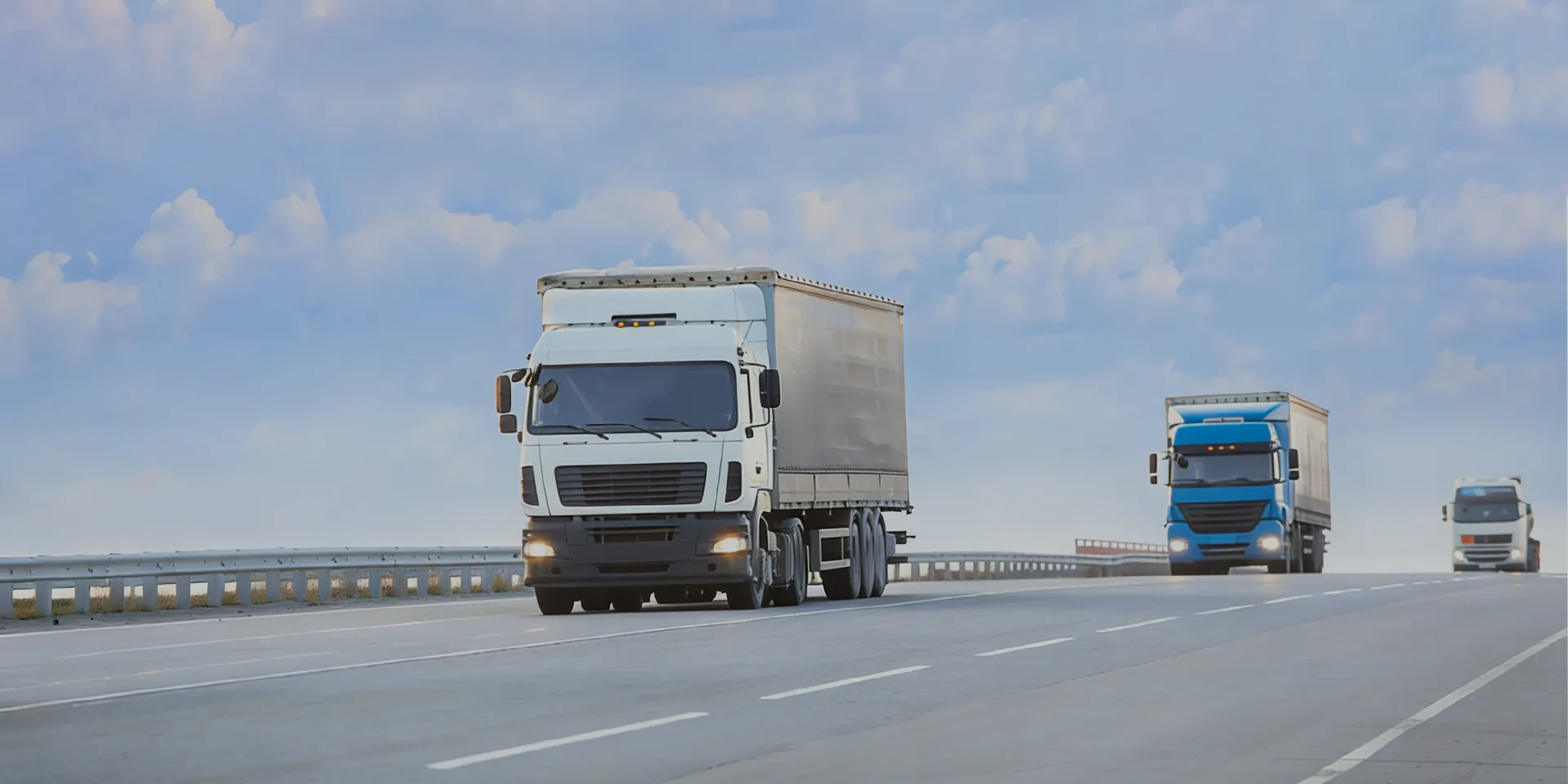 Container & Bulk Transport Semi Trailer